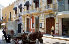 Pferdekutschentransport in Mexiko