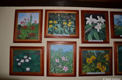 Blumenbilder im Museum in Masaya