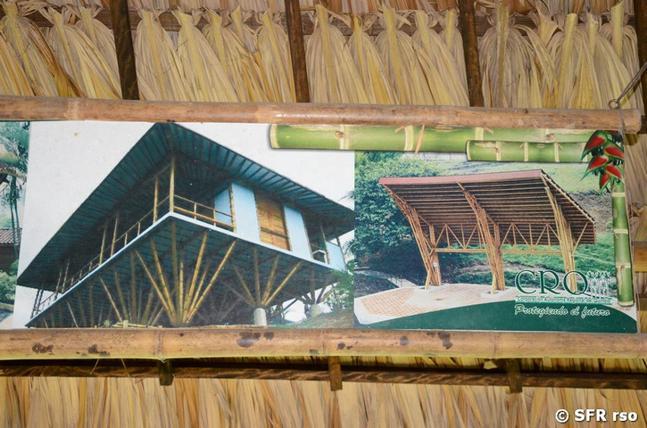 Design eines Bambushauses