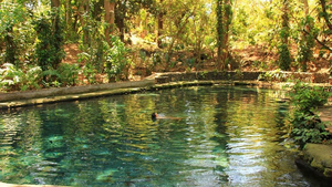Ojo de Agua Nicaragua Pure Centralamerica