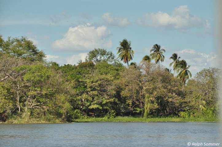 Bewaldung auf Isletas de Granada Nicaragua