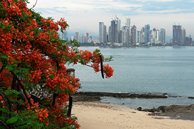 Die Kontraste Panama Citys
