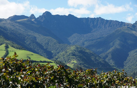 Naturreservat Pasochoa