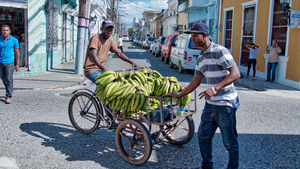 Bananenhändler