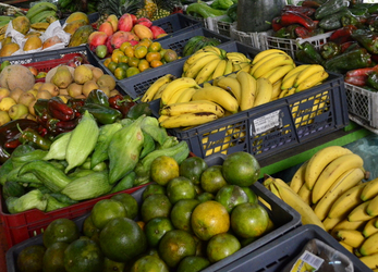 Tropische Früchte auf dem Markt in La Candelaria