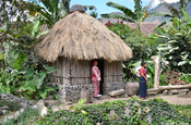 Palmhütte im Freilichtmuseum in Antigua