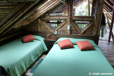 Zimmer in der Bellavista Lodge