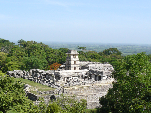 Palenque im Dschungel