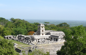 Palenque im Dschungel