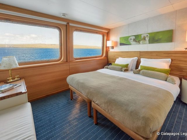 Junior Suite Galapagos