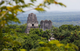 Mayastätte Tikal im Urwald von Petén