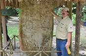 Reiseleiter Mario neben einer Stele in Ceibal