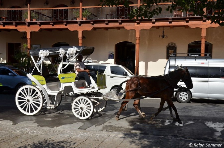 Pferdekutsche in Granada Nicaragua