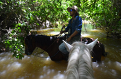 Flussüberquerung auf dem Pferd