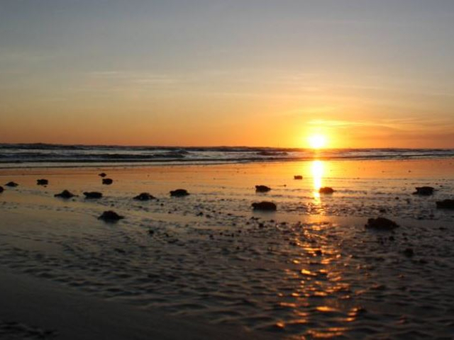 El Salvador Sonnenuntergang mit Babyschildkröten