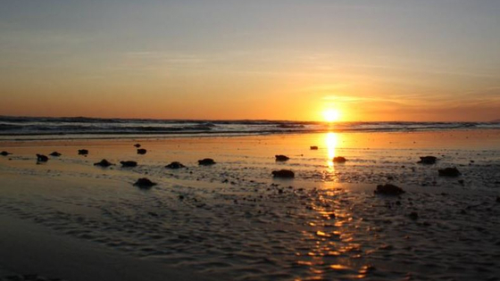El Salvador Sonnenuntergang mit Babyschildkröten
