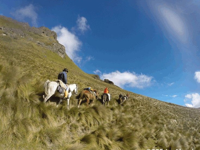 Reiten unter blauem Himmel