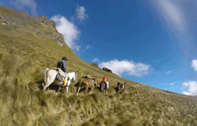 Reiten unter blauem Himmel