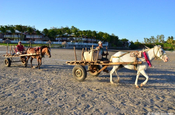 Pferdefuhrwerk am Playa Pochomil