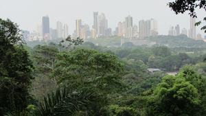 Skyline Panama City