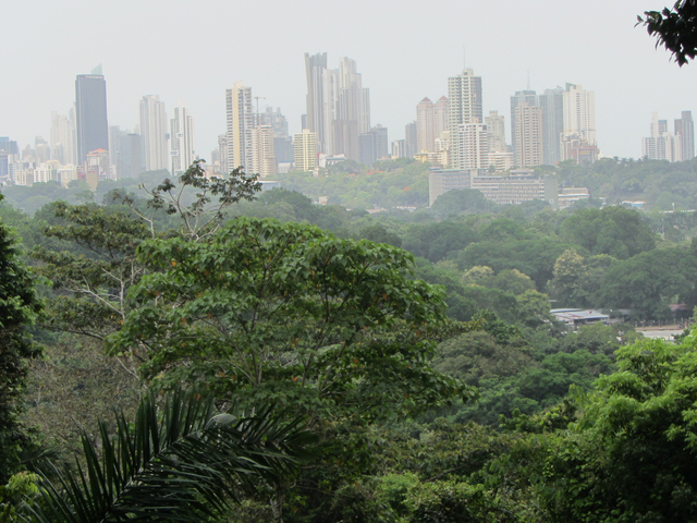Skyline Panama City