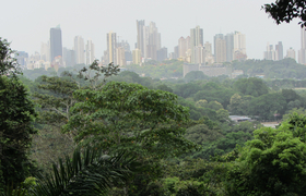Skyline Panama City