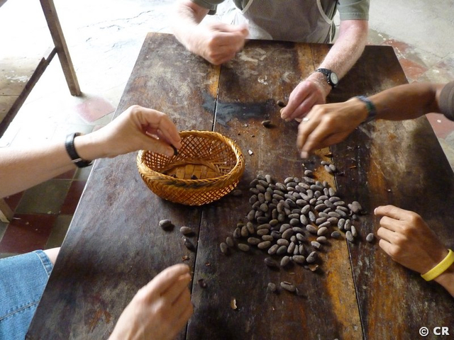 Auswahl von Kakaobohnen beim Schokoladenkurs Nicaragua