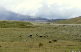Nationalpark Cotopaxi
