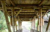 Bambusbrücke mit Verbindungen