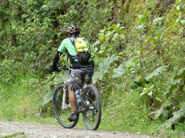 Downhill-Biking im Bergnebelwald in Ecuador