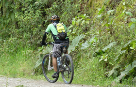 Downhill-Biking im Bergnebelwald in Ecuador