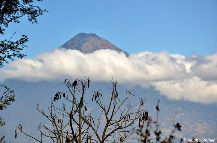 Vulkan Pacaya in Wolken