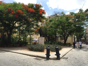 Altstadt von Havanna