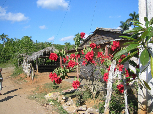 Piñar del Rio