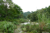 Naturreservat El Nicho Zentralkuba