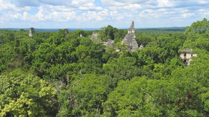 Tikal im Urwald von Petén
