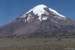 Vulkan Chimborazo