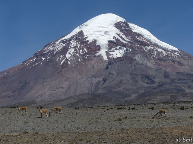 Vulkan Chimborazo