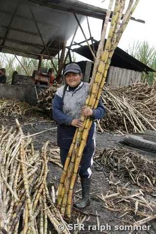 Arbeiterin mit Bündel Zuckerrohr