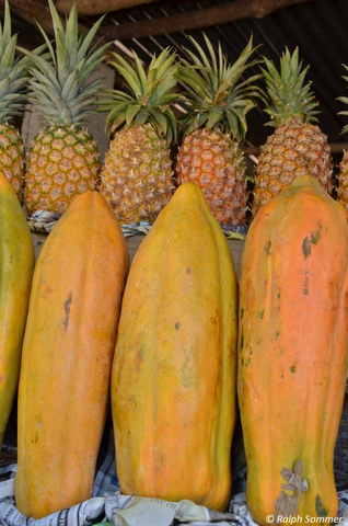 Papaya und Ananas in La Democracia