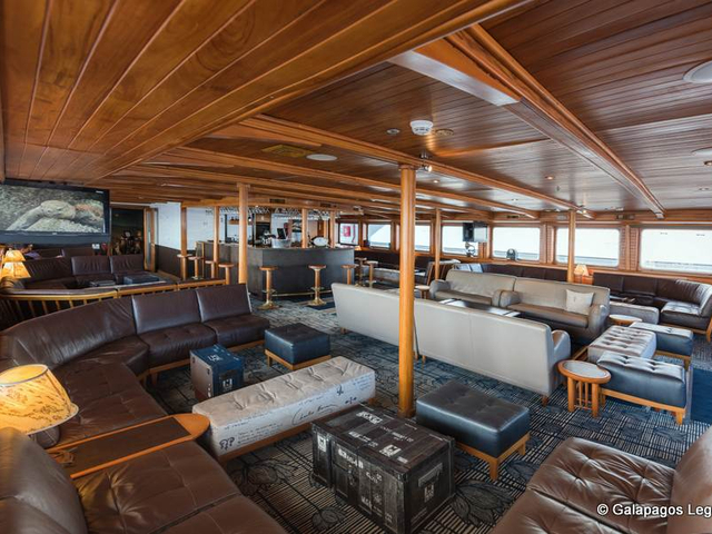 Charles Darwin Lounge