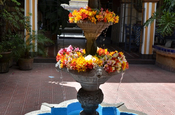 Brunnen mit Blumen im Patio