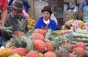 Obstmarkt und Guambianos
