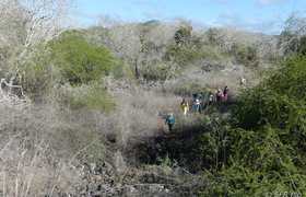 Wanderung zum Turtle Bay, Galapagos