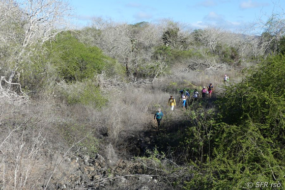 Wanderung zum Turtle Bay, Galapagos