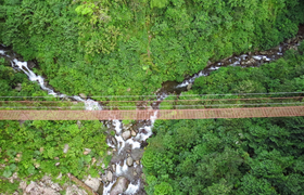 Hängebrücke über dem Nebelwald