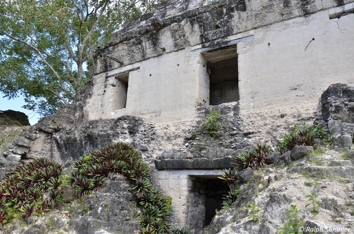 Restaurierte Akropolis in Tikal