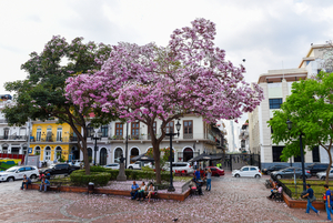 Historisches Viertel Casco Viejo