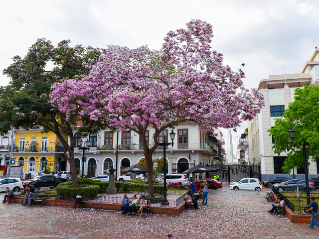 Historisches Viertel Casco Viejo
