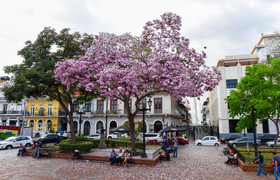 Historisches Viertel Casco Viejo